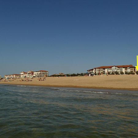 La Dune D'Or - Vue Mer, Studio Face A La Plage Avec Terrasse Soorts-Hossegor Zewnętrze zdjęcie